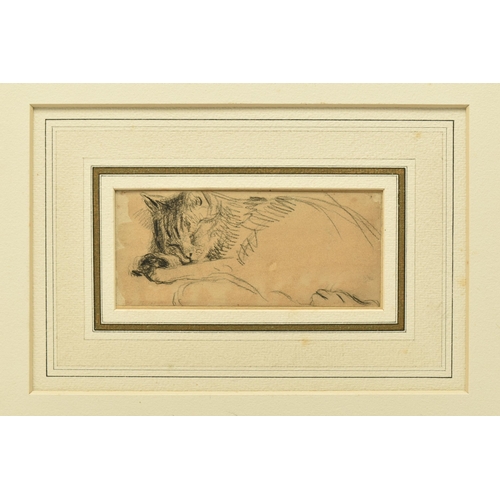 326 - ATTRIBUTED TO WILLIAM HENRY HUNT (1790-1864) 'SLEEPING CAT', an unsigned sketch depicting a cat, att... 