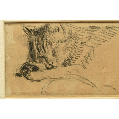 326 - ATTRIBUTED TO WILLIAM HENRY HUNT (1790-1864) 'SLEEPING CAT', an unsigned sketch depicting a cat, att... 