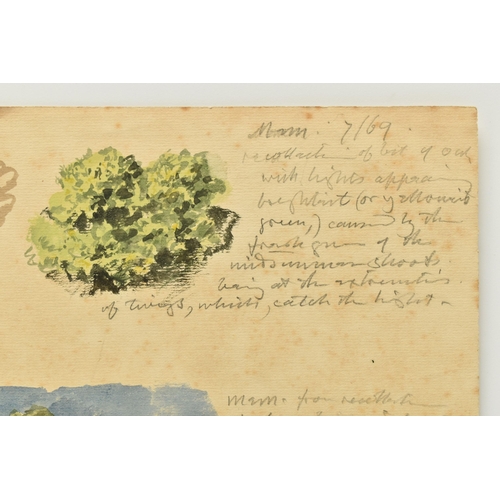 331 - CIRCLE OF JOHN LINNELL AN UNSIGNED STUDY OF FOLIAGE WITH NOTES, two watercolour studies on the same ... 