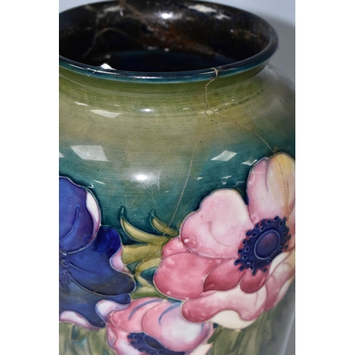 414 - A LARGE MOORCROFT POTTERY 'ANEMONE' PATTERN VASE, with tube lined Anemone pattern on a graduated gre... 