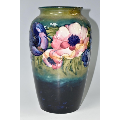 414 - A LARGE MOORCROFT POTTERY 'ANEMONE' PATTERN VASE, with tube lined Anemone pattern on a graduated gre... 