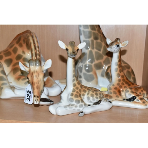 322 - A GROUP OF LOMONOSOV AND SIMILAR PORCELAIN GIRAFFES, comprising a large grazing giraffe, height 14.5... 