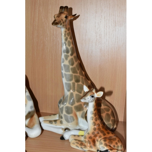 322 - A GROUP OF LOMONOSOV AND SIMILAR PORCELAIN GIRAFFES, comprising a large grazing giraffe, height 14.5... 