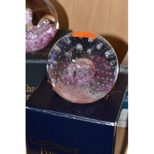 343 - FIVE CAITHNESS GLASS PAPERWEIGHTS, comprising four boxed 'Pink Champagne', 'Moonflower', 'Cauldron',... 