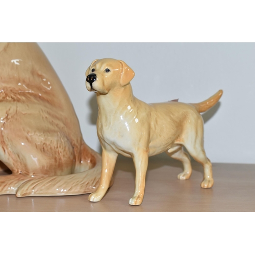 346 - TWO BESWICK LABRADOR FIGURES, comprising a large Beswick Fireside Models seated Labrador, model no 2... 