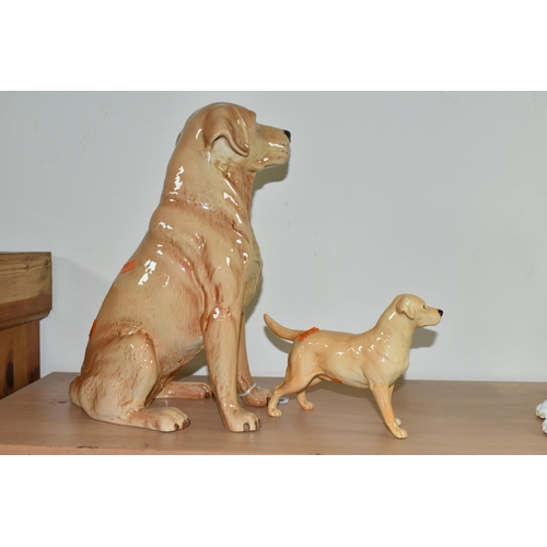 346 - TWO BESWICK LABRADOR FIGURES, comprising a large Beswick Fireside Models seated Labrador, model no 2... 