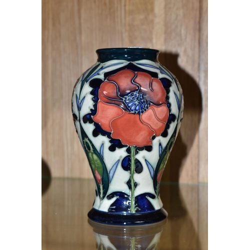 495 - A MOORCROFT POTTERY BALUSTER VASE DECORATED WITH POPPIES ON A PALE GREEN AND DARK BLUE GROUND, circa... 