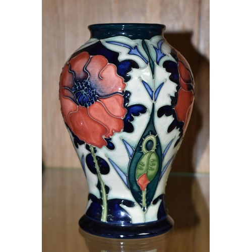 495 - A MOORCROFT POTTERY BALUSTER VASE DECORATED WITH POPPIES ON A PALE GREEN AND DARK BLUE GROUND, circa... 