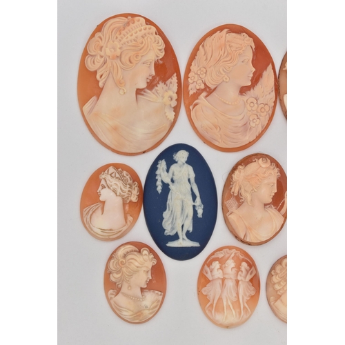 110 - AN ASSORTMENT OF CAMEOS, to include fourteen shell cameos and two 'Wedgewood' cameos, (condition rep... 