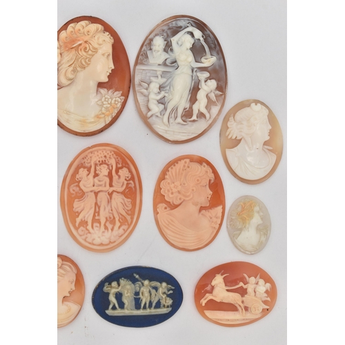 110 - AN ASSORTMENT OF CAMEOS, to include fourteen shell cameos and two 'Wedgewood' cameos, (condition rep... 