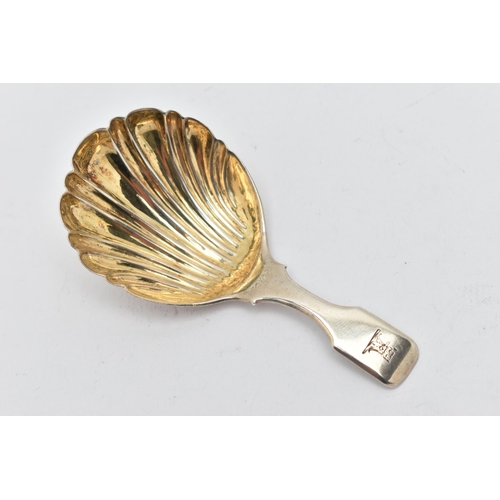 144 - AN EARLY 19TH CENTURY SILVER CADDY SPOON, with shell design gilt bowl, with leopard head engraved to... 