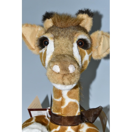 301 - A CHARLIE BEARS 'REECH' GIRAFFE SOFT TOY, no CB161638, designed by Isabelle Lee, fully jointed, with... 