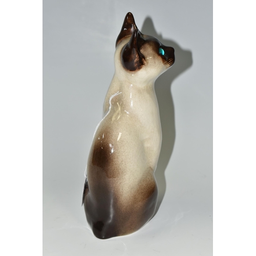 305 - A WINSTANLEY POTTERY FIGURE OF A SIAMESE CAT, with bright blue glass eyes, signed 'Winstanley, Kensi... 