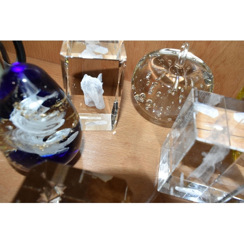 318 - A COLLECTION OF GLASS AND RESIN PAPERWEIGHTS, to include a Crystal Clear Collectables reverse glass ... 