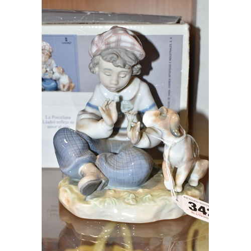 342 - A BOXED LLADRO FIGURINE  'I HOPE SHE DOES', model 5450  depicting young boy pulling petals off flowe... 