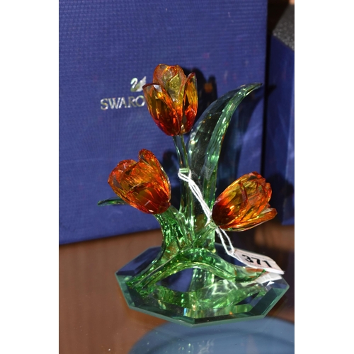 371 - A BOXED SWAROVSKI PARADISE FLOWERS 'TULIPS' 5302530, with a mirrored stand, designed by Juan Ignacio... 