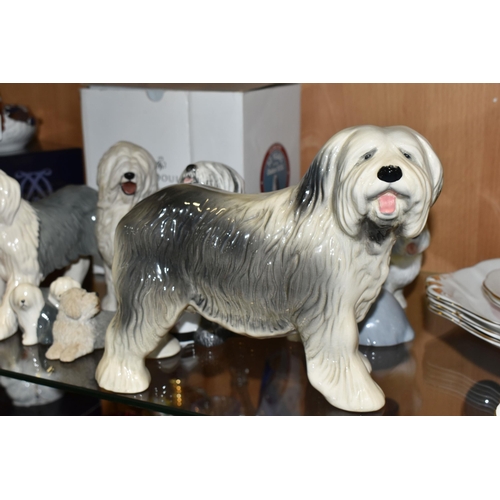 393 - EIGHT OLD ENGLISH SHEEP DOG SCULPTURES, comprising Royal Doulton Dulux dog with box, approximate hei... 