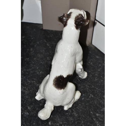 433 - A NYMPHENBURG PORCELAIN FIGURE OF A SEATED FOX TERRIER, impressed no's 628 5, impressed shield mark,... 