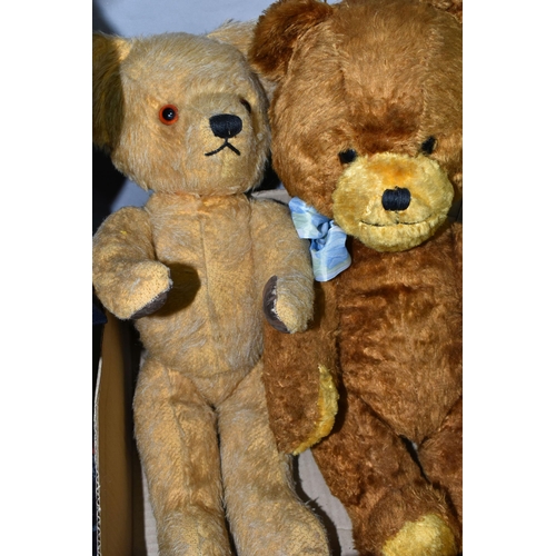 553 - TWO SECOND HALF 20TH CENTURY STRAW FILLED TEDDY BEARS, the two tone plush bear with growler, plastic... 