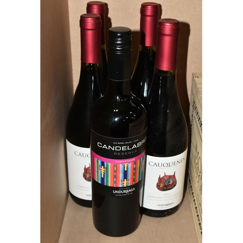 243 - TWENTY-TWO BOTTLES OF SOUTH AMERICAN RED WINE comprising one unopened case containing six bottles of... 