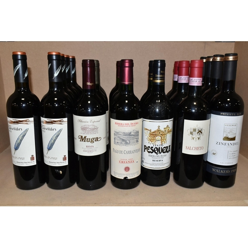 244 - TWENTY-TWO BOTTLES OF SPANISH, Italian & New World Red Wine comprising five bottles of CAPA GAVILAN ... 