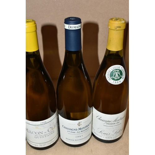 257 - TWENTY BOTTLES OF FRENCH WHITE WINE  comprising one bottle of CHASSAGNE-MONTACHET 1989 Premier Cru, ... 