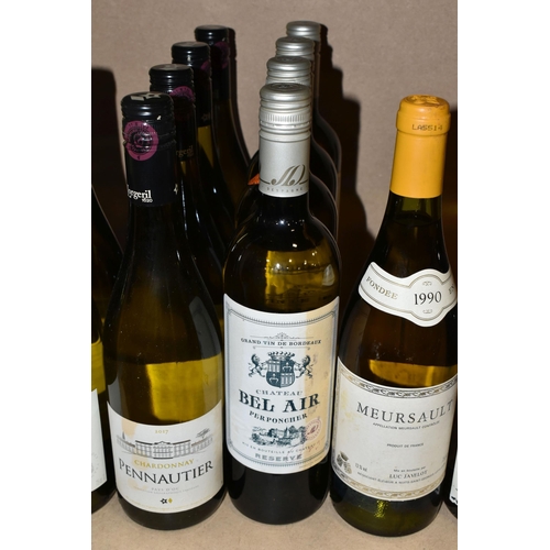 257 - TWENTY BOTTLES OF FRENCH WHITE WINE  comprising one bottle of CHASSAGNE-MONTACHET 1989 Premier Cru, ... 