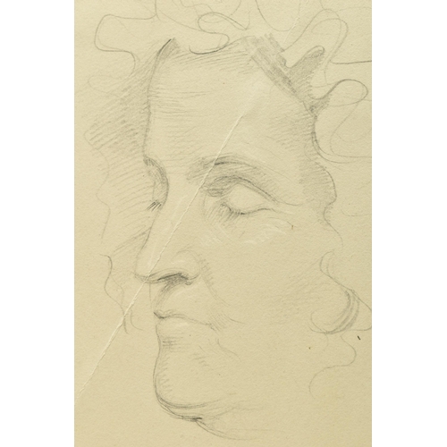 306 - SIR GEORGE HAYTER (1792-1871) 'MRS STEWART', two pencil portrait sketches of the mother of Leonard S... 