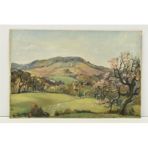 313 - ETHEL POXON (ACTIVE CIRCA 1931-1956) FOUR UNFRAMED LANDSCAPE OILS, comprising 'Over The Border' depi... 