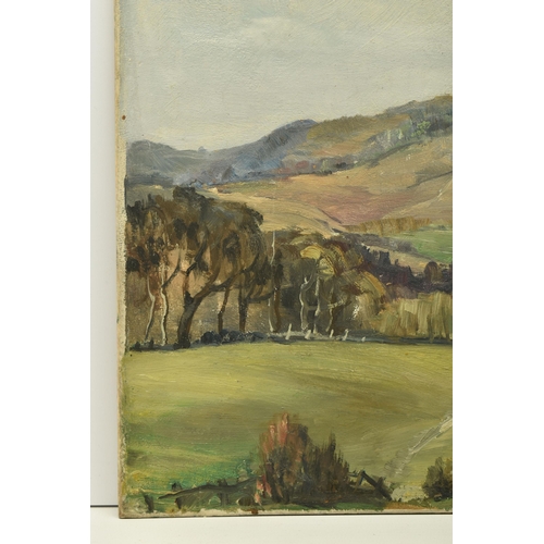 313 - ETHEL POXON (ACTIVE CIRCA 1931-1956) FOUR UNFRAMED LANDSCAPE OILS, comprising 'Over The Border' depi... 