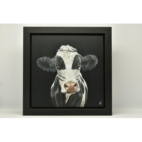 331 - HAYLEY GOODHEAD (BRITISH CONTEMPORARY) 'THE CATMAN', a portrait of a black and white cow, initialled... 