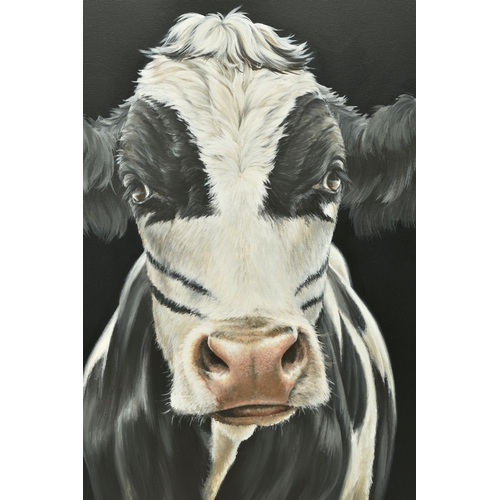 331 - HAYLEY GOODHEAD (BRITISH CONTEMPORARY) 'THE CATMAN', a portrait of a black and white cow, initialled... 