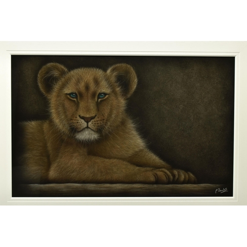 345 - COLIN BANKS (BRITISH CONTEMPORARY) 'PATIENTLY WAITING', a portrait of a Lion cub waiting for its mot... 