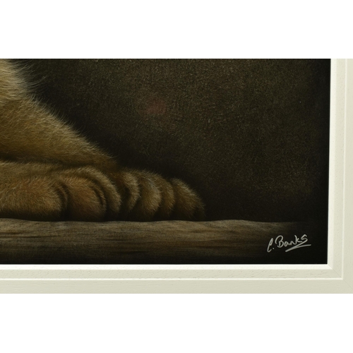 345 - COLIN BANKS (BRITISH CONTEMPORARY) 'PATIENTLY WAITING', a portrait of a Lion cub waiting for its mot... 