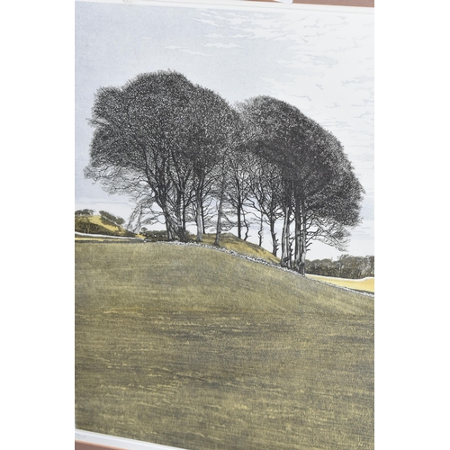 491 - PHIL GREENWOOD (1943-) 'HILLTOP',  an aquatint etching depicting a copse of trees in a field, signed... 