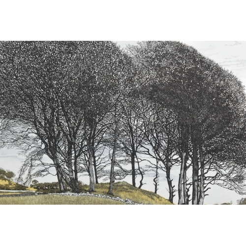 491 - PHIL GREENWOOD (1943-) 'HILLTOP',  an aquatint etching depicting a copse of trees in a field, signed... 