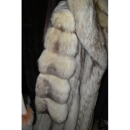 538 - TWO LADIES LONG FUR COATS, comprising a cream and brown tipped Artic fox fur coat with pale grey lea... 