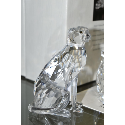 553 - TWO BOXED SWAROVSKI CRYSTAL CHEETAH AND LION FIGURES, comprising Cheetah (variation 2 with higher se... 