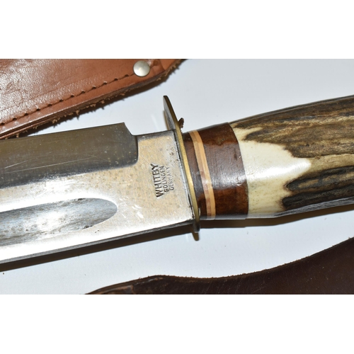 286 - TWO HIGH QUALITY GERMAN HUNTING SHEATH KNIVES IN FITTED LEATHER SHEATHS, each bearing the motif of a... 