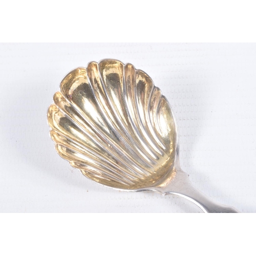 104 - AN EARLY 19TH CENTURY SILVER CADDY SPOON, with shell design gilt bowl, with leopard head engraved to... 