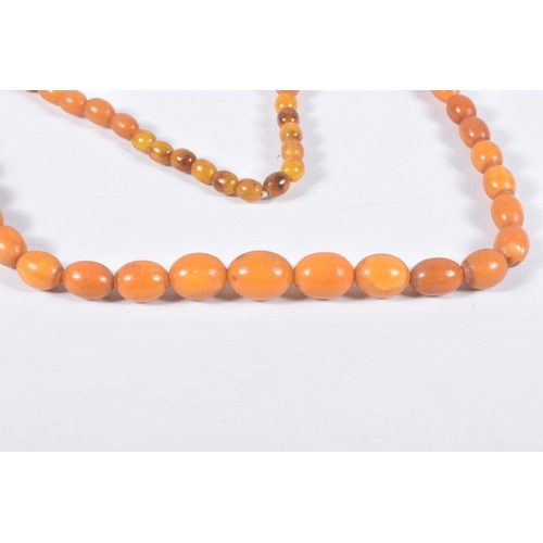 36 - AN AMBER BEAD NECKLACE, designed as a single row of graduating oval beads, largest bead measuring ap... 