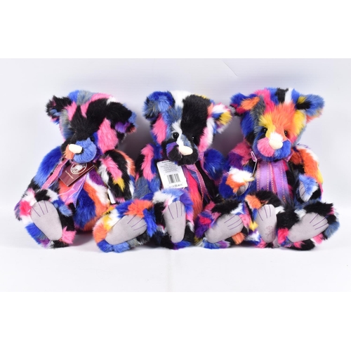 211 - THREE UNBOXED CHARLIE BEARS KALEIDOSCOPE PLUSH BEARS, No.CB217020O, all appear complete and in very ... 