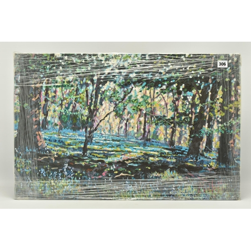 306 - TIMMY MALLETT (BRITISH CONTEMPORARY) 'BLUEBELL SHADOWS', limited edition box canvas print of a woodl... 