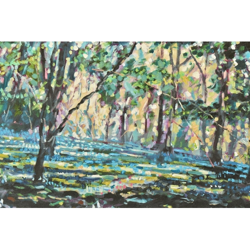 306 - TIMMY MALLETT (BRITISH CONTEMPORARY) 'BLUEBELL SHADOWS', limited edition box canvas print of a woodl... 