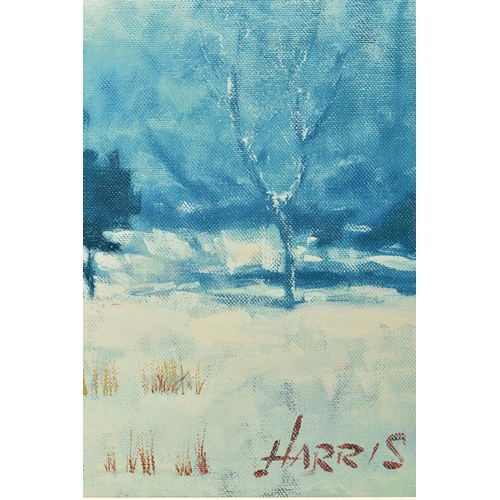 310 - ROLF HARRIS (1930-2023) 'SNOW ON MARSHY GROUND', a signed limited edition print depicting a winter s... 