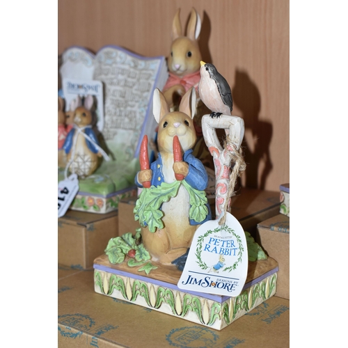 410 - FIVE BOXED ENESCO PETER RABBIT DESIGNS BY JIM SHORE, comprising Jemima Puddle Duck 6008748, Benjamin... 