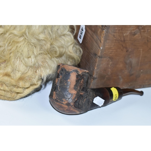 459 - ONE WOODEN CARRY CASE CONTAINING TWO EARLY VICTORIAN COACHMAN'S WIGS, the box has a paper label on t... 