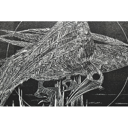 640 - HEINKE JENKINS (1937-2023) 'NIGHT BIRD' A LINOCUT PRINT, a limited edition monochrome print on paper... 