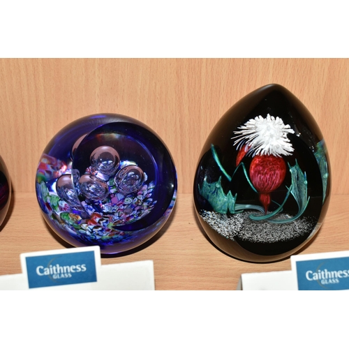 331 - EIGHT CAITHNESS GLASS PAPERWEIGHTS, five are limited editions, comprising 'Flower of Scotland', unli... 