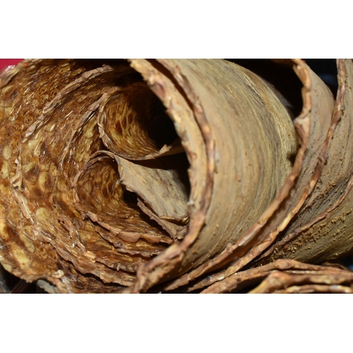 503 - TWO VINTAGE DRIED SNAKE SKINS (1 box)